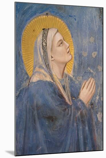 Passion, The Ascension, Detail of Virgin Mary-Giotto di Bondone-Mounted Art Print