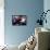 Passion-James Grey-Framed Stretched Canvas displayed on a wall