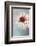 passionate attraction-Gilbert Claes-Framed Photographic Print