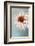 passionate attraction-Gilbert Claes-Framed Photographic Print