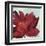 Passionate Flower-Asia Jensen-Framed Art Print