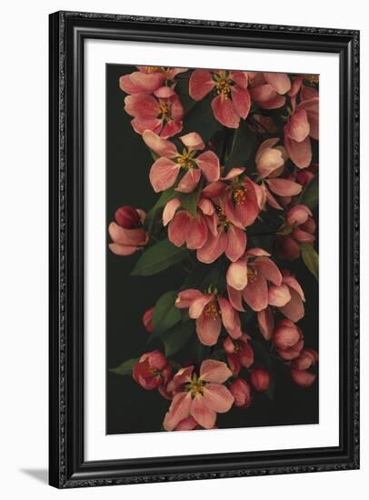 Passionate Petals-Irene Suchocki-Framed Giclee Print