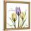 Passionately Tulip-Albert Koetsier-Framed Stretched Canvas