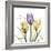 Passionately Tulip-Albert Koetsier-Framed Premium Giclee Print