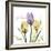 Passionately Tulip-Albert Koetsier-Framed Premium Giclee Print