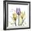 Passionately Tulip-Albert Koetsier-Framed Art Print