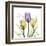 Passionately Tulip-Albert Koetsier-Framed Art Print