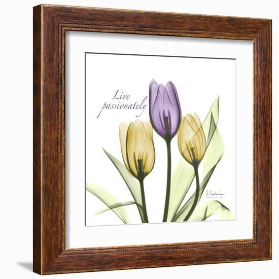 Passionately Tulip-Albert Koetsier-Framed Art Print