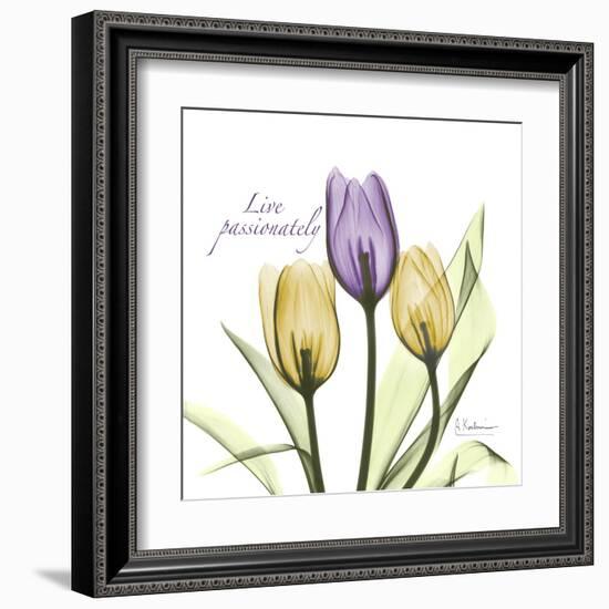 Passionately Tulip-Albert Koetsier-Framed Art Print