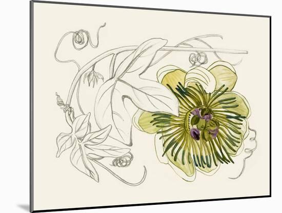 Passionflower II-Melissa Wang-Mounted Art Print