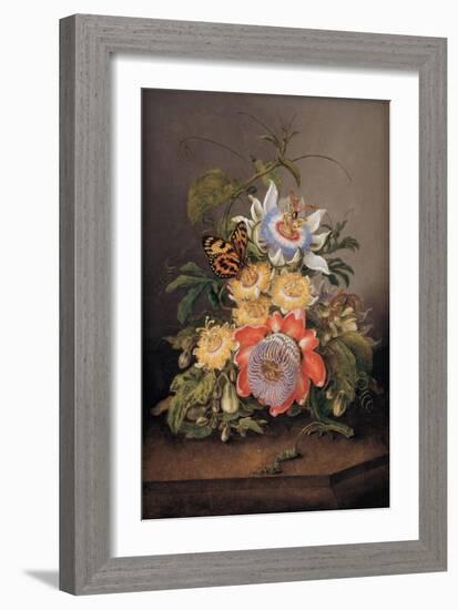 Passionflowers, 1812-Ferdinand Bauer-Framed Giclee Print