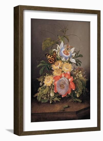 Passionflowers, 1812-Ferdinand Bauer-Framed Giclee Print