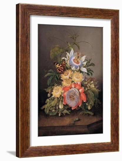 Passionflowers, 1812-Ferdinand Bauer-Framed Giclee Print