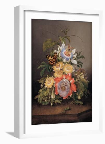 Passionflowers, 1812-Ferdinand Bauer-Framed Giclee Print