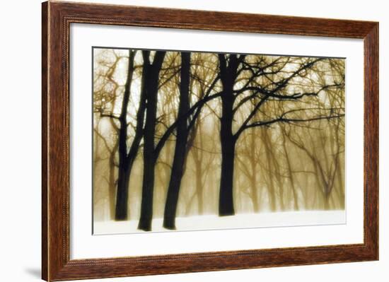 Past Dreams-David Winston-Framed Art Print