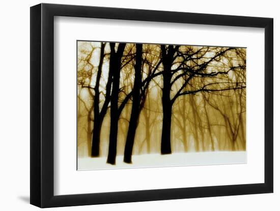 Past Dreams-David Winston-Framed Art Print