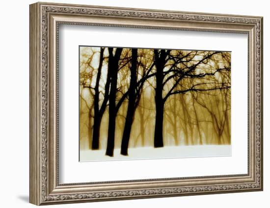 Past Dreams-David Winston-Framed Art Print