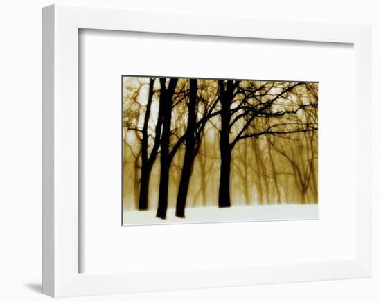 Past Dreams-David Winston-Framed Art Print