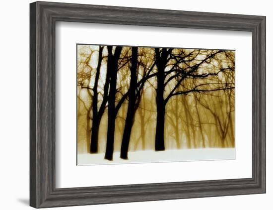 Past Dreams-David Winston-Framed Art Print