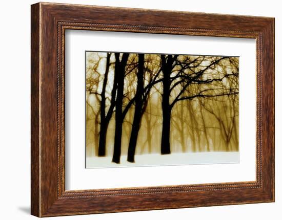 Past Dreams-David Winston-Framed Art Print