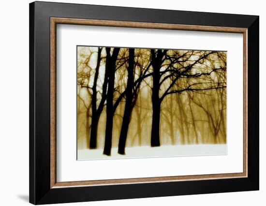 Past Dreams-David Winston-Framed Art Print