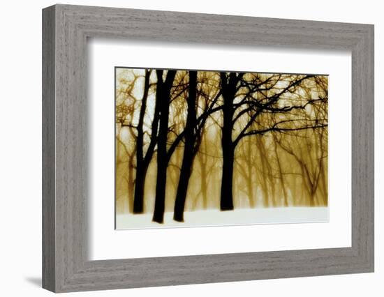 Past Dreams-David Winston-Framed Art Print