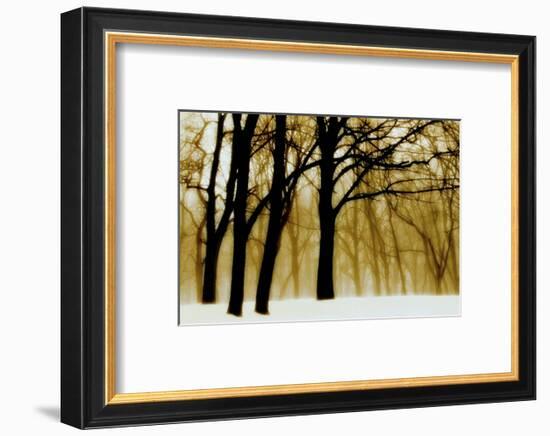 Past Dreams-David Winston-Framed Art Print