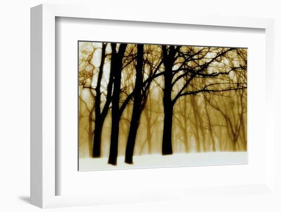 Past Dreams-David Winston-Framed Art Print