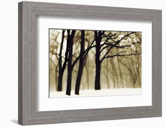 Past Dreams-David Winston-Framed Giclee Print