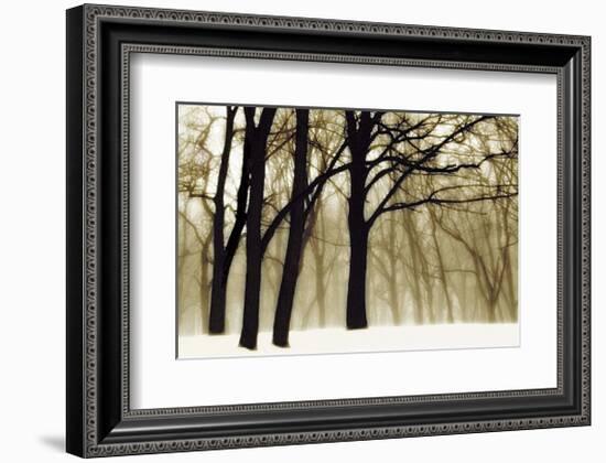 Past Dreams-David Winston-Framed Giclee Print