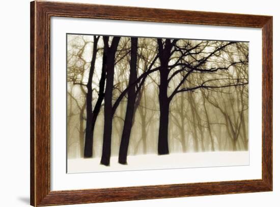 Past Dreams-David Lorenz Winston-Framed Art Print