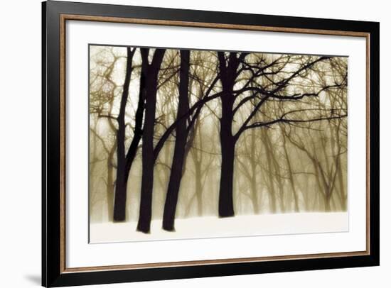 Past Dreams-David Lorenz Winston-Framed Art Print