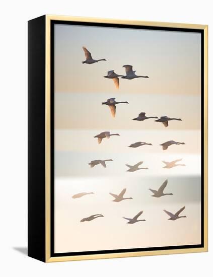 Past the sun.-Leif Londal-Framed Premier Image Canvas