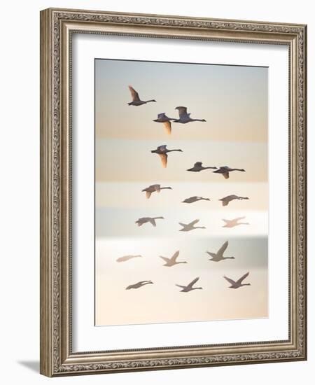 Past the sun.-Leif Londal-Framed Photographic Print