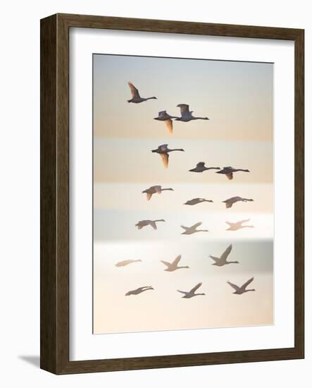 Past the sun.-Leif Londal-Framed Photographic Print