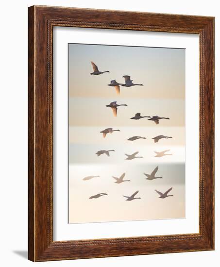 Past the sun.-Leif Londal-Framed Photographic Print