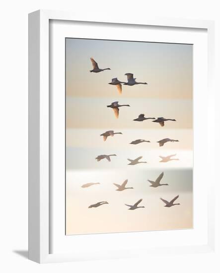 Past the sun.-Leif Londal-Framed Photographic Print