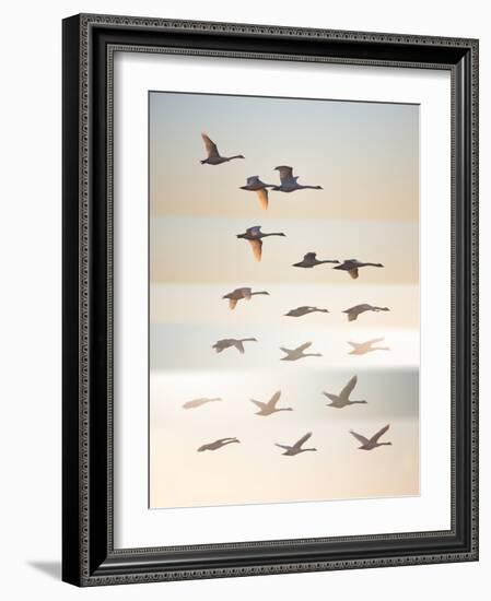 Past the sun.-Leif Londal-Framed Photographic Print