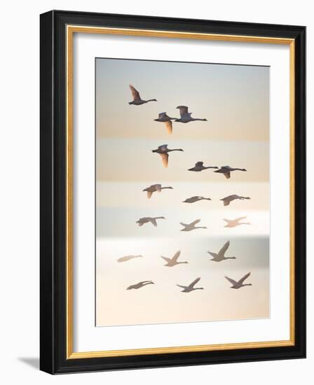 Past the sun.-Leif Londal-Framed Photographic Print