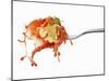 Pasta and Squirted Tomato Sauce on a Fork-Kröger & Gross-Mounted Photographic Print