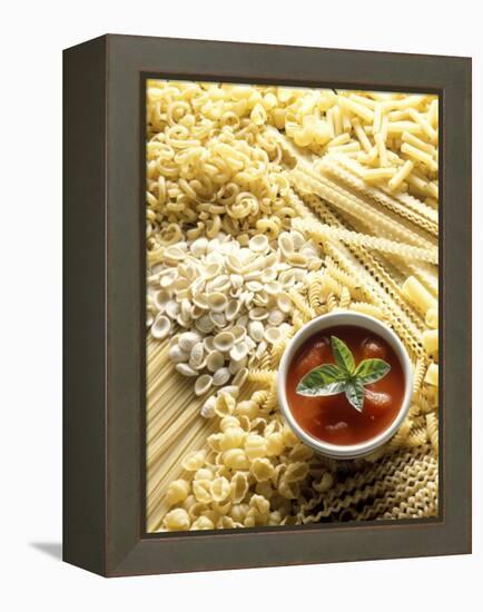 Pasta Still Life with Tomato Sauce-null-Framed Premier Image Canvas