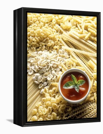 Pasta Still Life with Tomato Sauce-null-Framed Premier Image Canvas