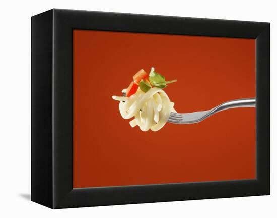 Pasta with Vegetables on a Fork-Kröger & Gross-Framed Premier Image Canvas