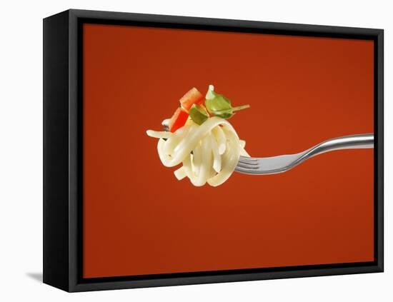 Pasta with Vegetables on a Fork-Kröger & Gross-Framed Premier Image Canvas