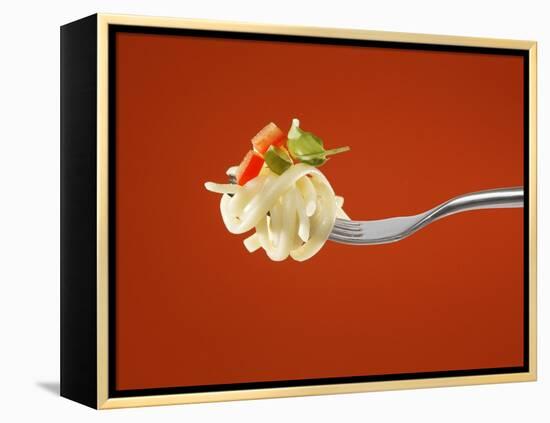 Pasta with Vegetables on a Fork-Kröger & Gross-Framed Premier Image Canvas