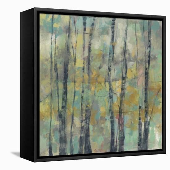 Pastel Arbor II-Jennifer Goldberger-Framed Stretched Canvas