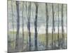 Pastel Birches I-Jennifer Goldberger-Mounted Art Print