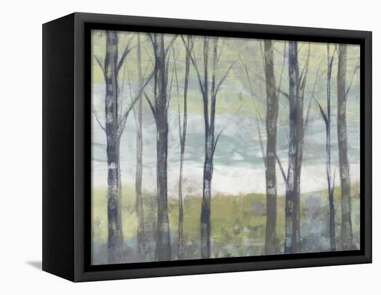 Pastel Birches II-Jennifer Goldberger-Framed Stretched Canvas