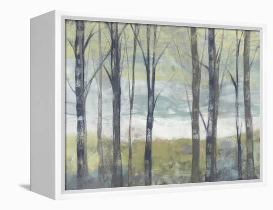 Pastel Birches II-Jennifer Goldberger-Framed Stretched Canvas