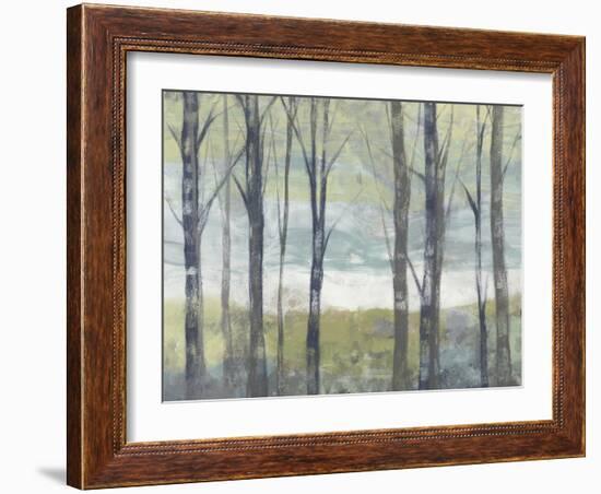 Pastel Birches II-Jennifer Goldberger-Framed Art Print